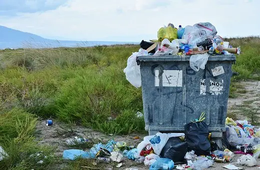 Bulk-Trash-Removal--in-Ucf-Florida-bulk-trash-removal-ucf-florida.jpg-image